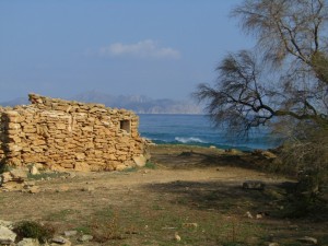 IMG_4858 (Medium)